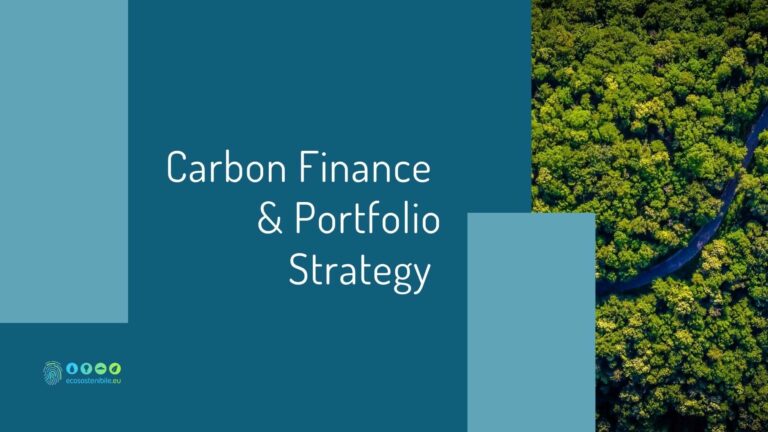 Carbon Finance & Portfolio Strategy