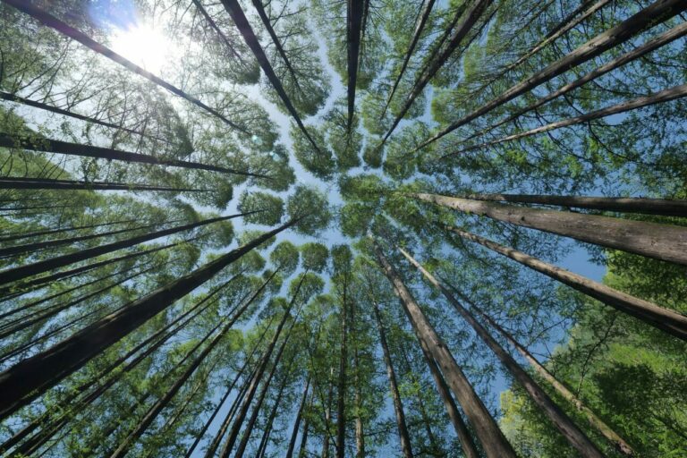 Accordo ISO – GHG Protocol