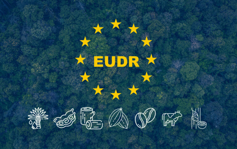 EUDR: l’entrata in vigore slitta di un anno per problemi IT