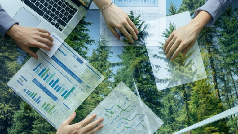 Crediti di carbonio: guida pratica all’ecosistema che sostiene la transizione climatica