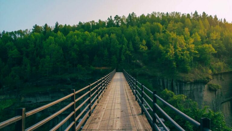 Il paradosso dei progetti NBS e la svolta dell’offtake: 5 verità sulla finanza climatica